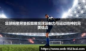 现场顶级视角观看申京过掉字母哥打成2+1