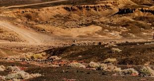 湖北U20孙康博谈全运会夺金：都不看好我们，偏偏我们最争气